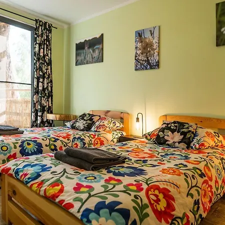 Dolidkowo Camp Farm stay *