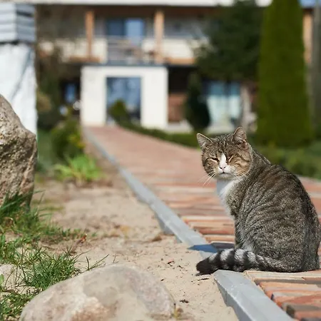 Séjour à la ferme Dolidkowo Camp Gwiezdzin