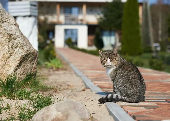 Gospodarstwo agroturystyczne Ranczo Dolidki Gwiezdzin
